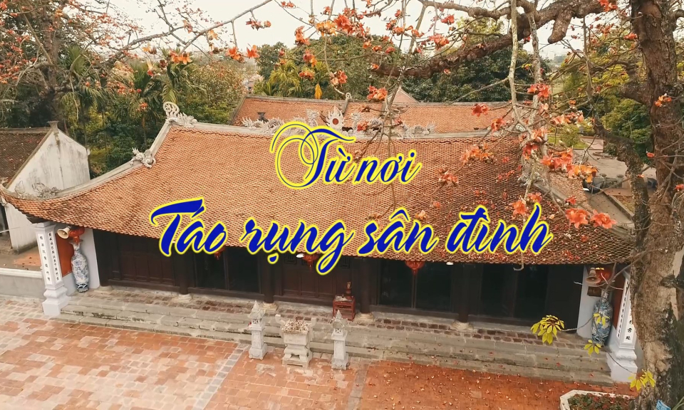 &Acirc;m vang miền cửa biển: Từ nơi &ldquo;T&aacute;o rụng s&acirc;n đ&igrave;nh&rdquo;      