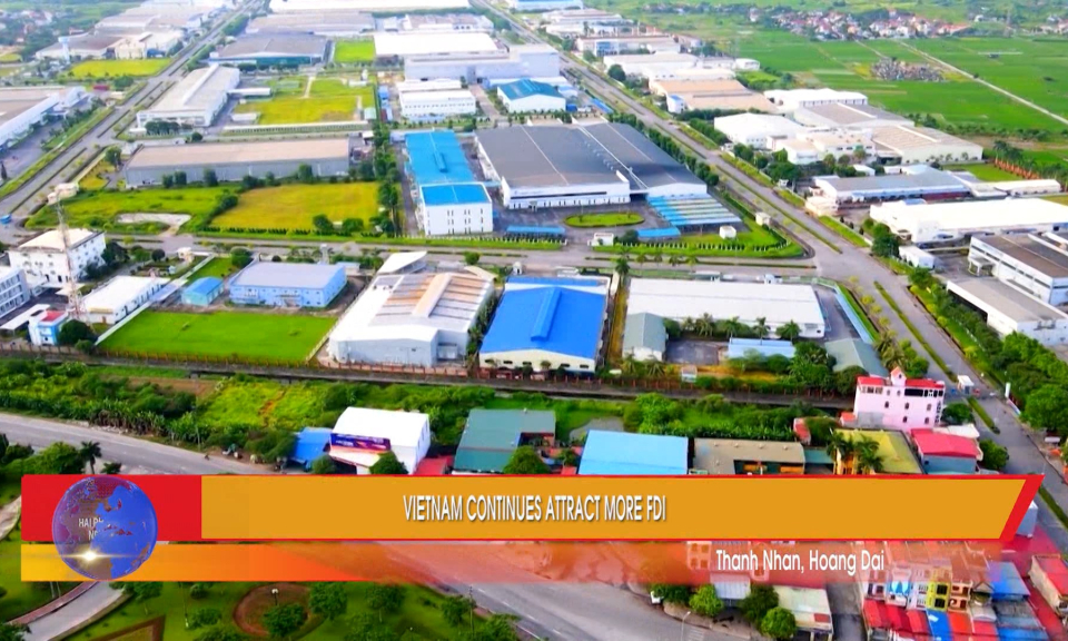 Bản tin tiếng Anh (14/12/2023)