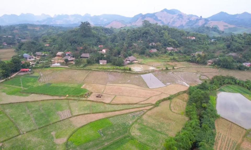 Bản tin Hải Ph&ograve;ng kết nối (16/12/2023)