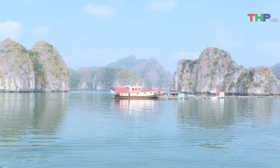 Huyện C&aacute;t Hải vượt thu ng&acirc;n s&aacute;ch 