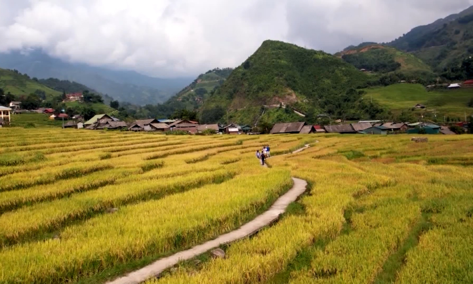 Bản tin Hải Ph&ograve;ng h&ocirc;m nay trưa (18/12/2023)