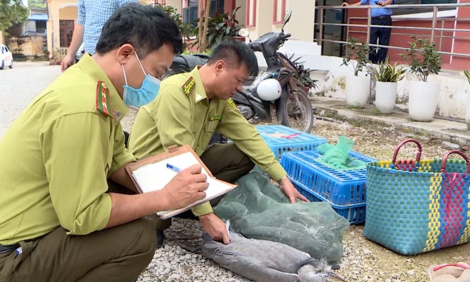 Ph&aacute;p luật v&agrave; cuộc sống: Hệ lụy từ việc mua b&aacute;n, săn bắt động vật hoang d&atilde;