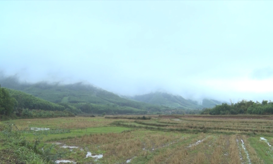 Bản tin Hải Ph&ograve;ng kết nối (20/12/2023)