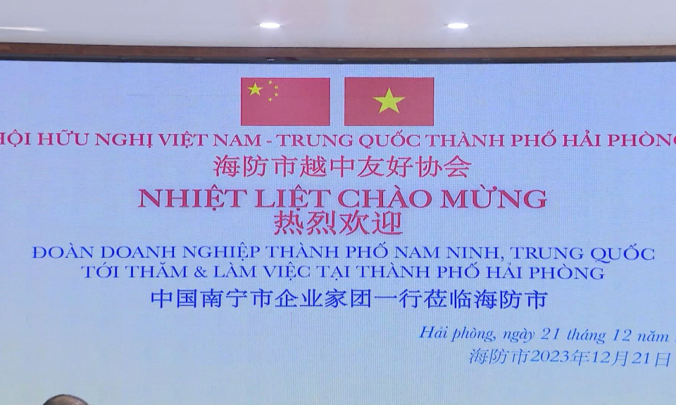 Doanh nghiệp Trung Quốc t&igrave;m hiểu cơ hội đầu tư tại Hải Ph&ograve;ng