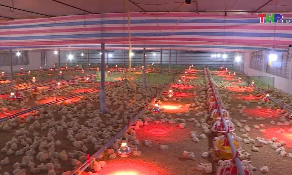 Chủ động ph&ograve;ng chống r&eacute;t cho đ&agrave;n vật nu&ocirc;i