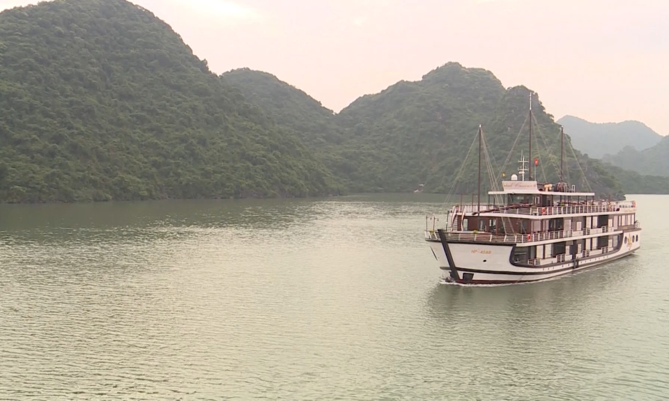 10 ph&uacute;t v&agrave;ng (24/12/2023)