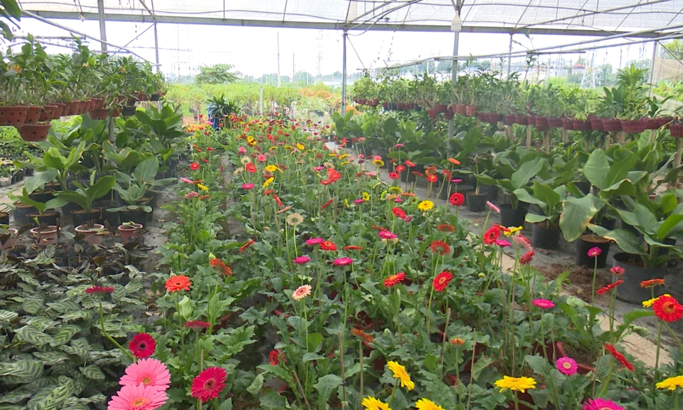 Bản tin Hải Ph&ograve;ng kết nối (26/12/2023)