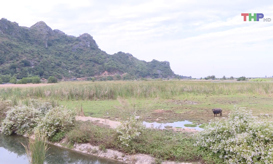 Vướng mắc tại Dự &aacute;n s&acirc;n golf quốc tế Xu&acirc;n Đ&aacute;m