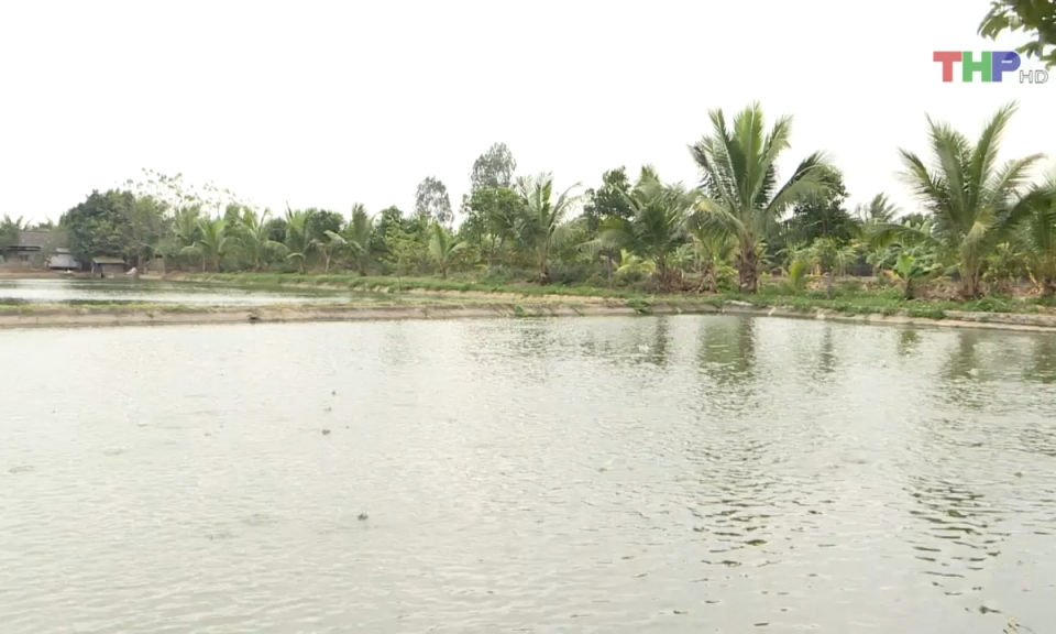 Bảo đảm nguồn cung thực phẩm dịp Tết