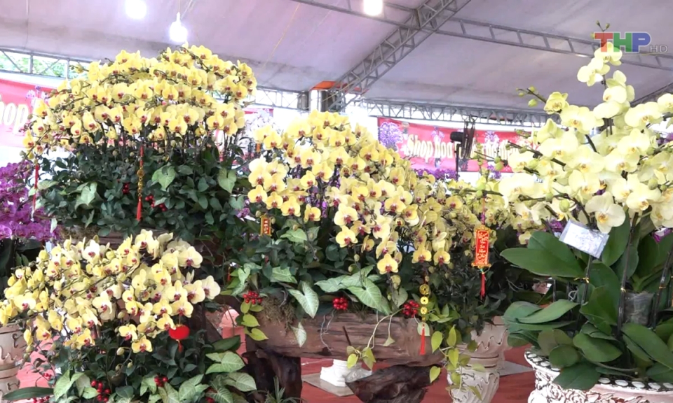 Bản tin Hải Ph&ograve;ng h&ocirc;m nay trưa (25/01/2024)