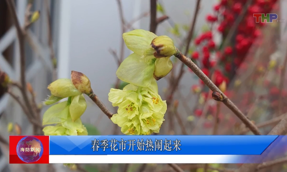 Bản tin tiếng Trung (25/01/2024)