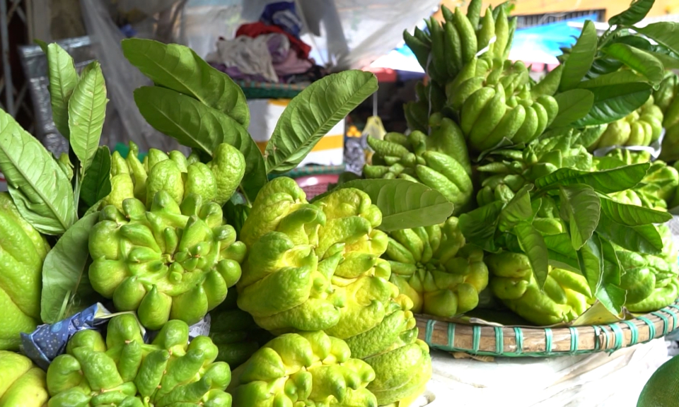 Bản tin tiếng Anh ̣(25/01/2024)