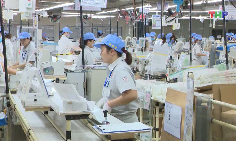 Bản tin thời sự trưa (29/1/2024)