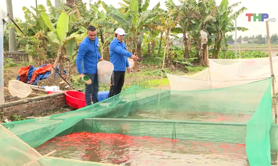 Thu nhập h&agrave;ng tỷ đồng từ c&aacute; ch&eacute;p    