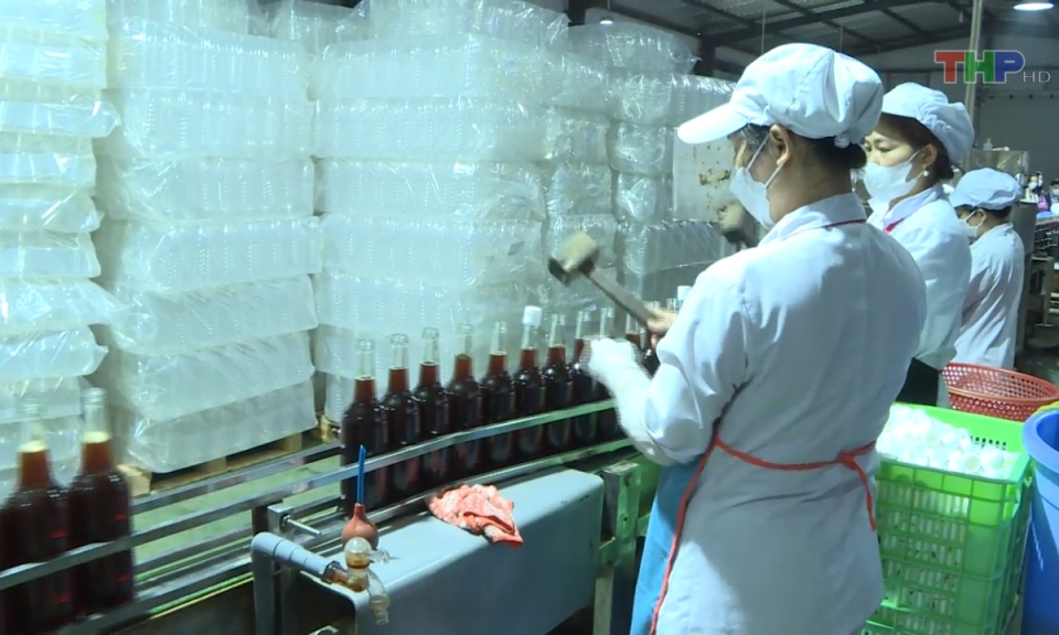 Y tế sức khỏe: Bảo đảm an to&agrave;n vệ sinh thực phẩm dịp Tết Nguy&ecirc;n đ&aacute;n