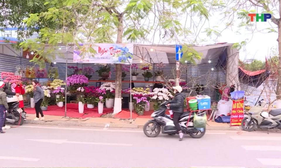 Rộn r&agrave;ng c&aacute;c Chợ hoa xu&acirc;n