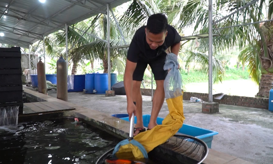 Tuổi trẻ Hải Ph&ograve;ng: Xu hướng lựa chọn n&ocirc;ng nghiệp để khởi nghiệp của giới trẻ