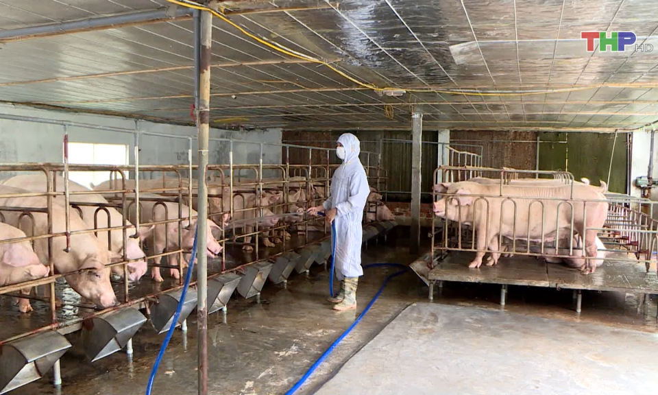 Bảo đảm nguồn cung thực phẩm dịp Tết Nguy&ecirc;n đ&aacute;n