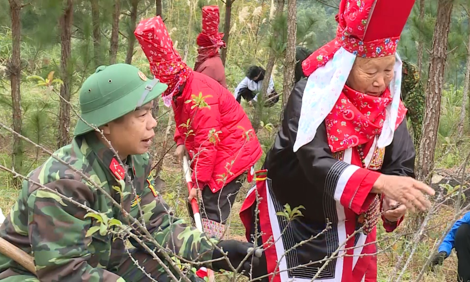 Qu&acirc;n khu 3: Bộ đội gi&uacute;p d&acirc;n thiết thực nơi bi&ecirc;n cương Đ&ocirc;ng Bắc