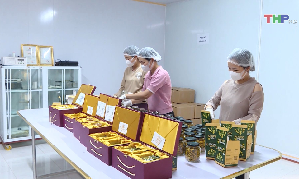 Th&ocirc;ng tin xung quanh việc sơ chế hoa c&uacute;c dược liệu  