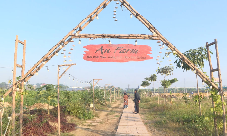 Kinh tế v&agrave; đ&ocirc; thị: Hợp t&aacute;c x&atilde;, doanh nghiệp chủ động nguồn h&agrave;ng phục vụ Tết, g&oacute;p phần b&igrave;nh ổn thị trường