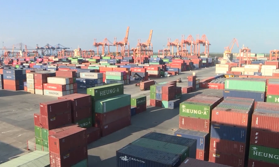 Bản tin Hải Ph&ograve;ng h&ocirc;m nay trưa (07/01/2024)