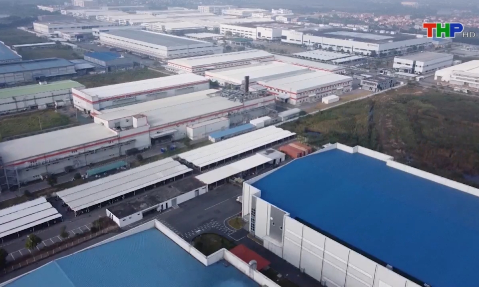 Bản tin thời sự trưa (08/01/2024)