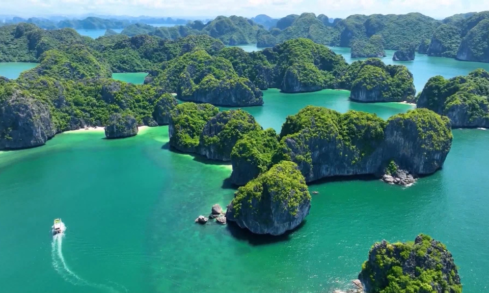 Bản tin Hải Ph&ograve;ng h&ocirc;m nay trưa (09/01/2024)