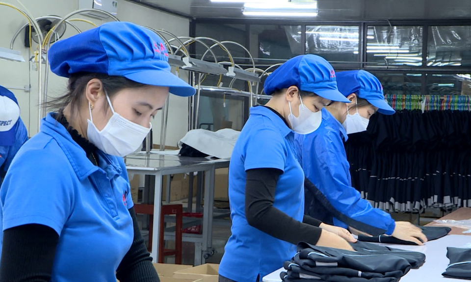 Ph&oacute;ng sự: Hải Ph&ograve;ng thực hiện sản xuất bền vững trong cụm c&ocirc;ng nghiệp