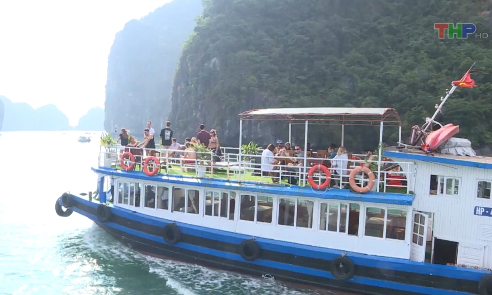 Bản tin thời sự s&aacute;ng (01/02/2024)