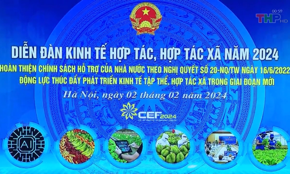 Bản tin thời sự trưa (02/02/2024)
