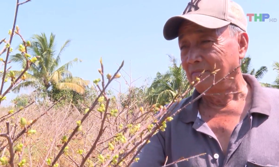 Bản tin Hải Ph&ograve;ng kết nối (02/02/2024)