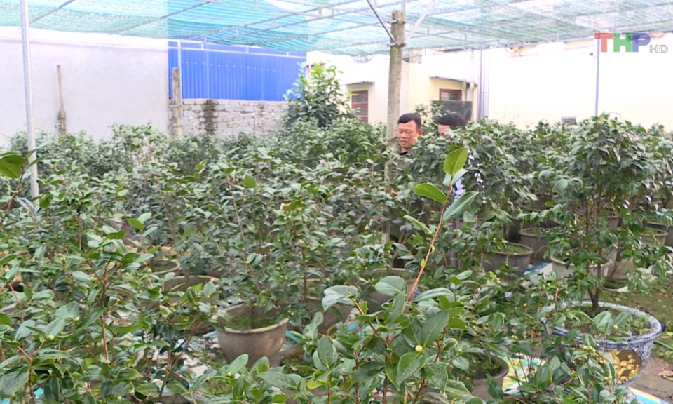 N&ocirc;ng th&ocirc;n mới Hải Ph&ograve;ng: L&agrave;ng nghề v&agrave;o xu&acirc;n 