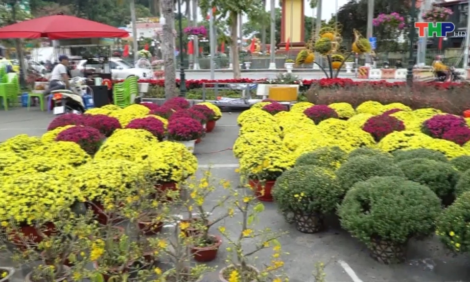 Chợ hoa xu&acirc;n quận Kiến An