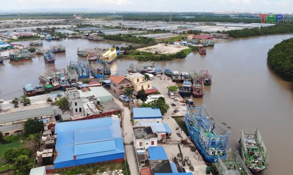 Bản tin thời sự tối (08/02/2024)