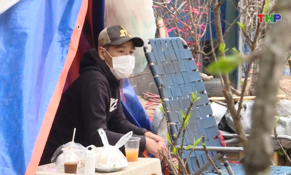 Lượng kh&aacute;ch mua hoa, c&acirc;y cảnh giảm 50%