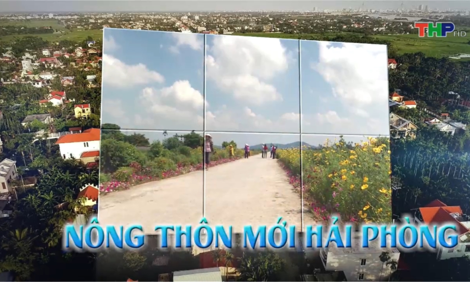 N&ocirc;ng th&ocirc;n mới Hải Ph&ograve;ng: Sức sống mới ở những l&agrave;ng qu&ecirc; kiểu mẫu 