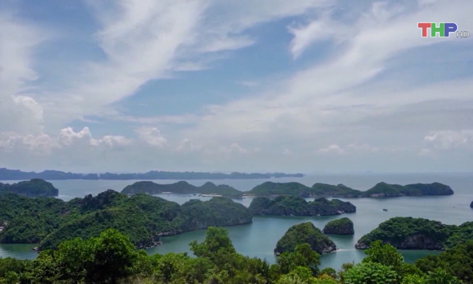 Bảo tồn v&agrave; ph&aacute;t huy gi&aacute; trị Di sản thi&ecirc;n nhi&ecirc;n thế giới  