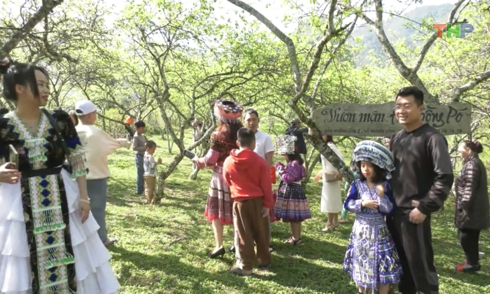 Bản tin Hải Ph&ograve;ng kết nối (17/02/2024)