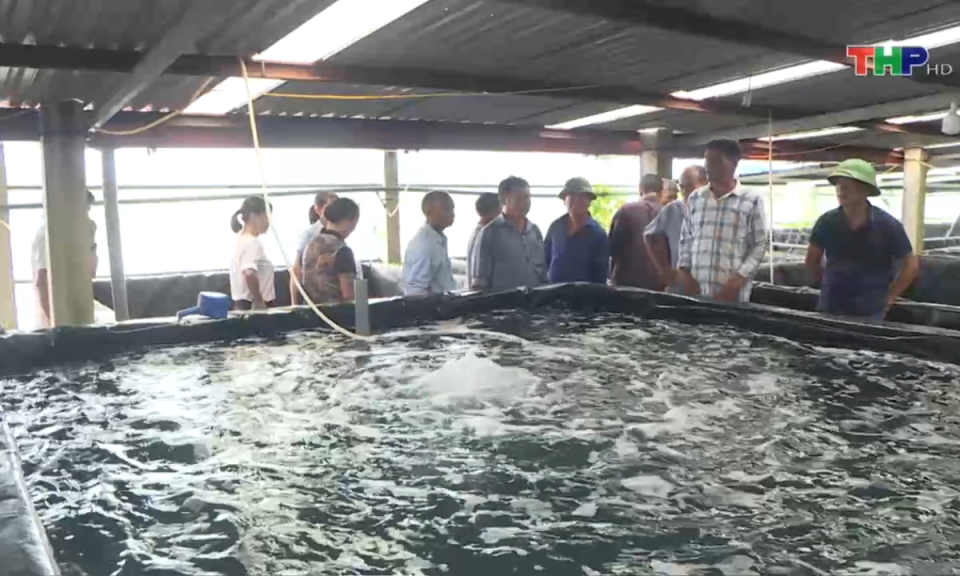 Kinh tế v&agrave; đ&ocirc; thị: Ph&aacute;t triển nguồn nh&acirc;n lực cho kinh tế tập thể - Đ&aacute;p ứng y&ecirc;u cầu hội nhập