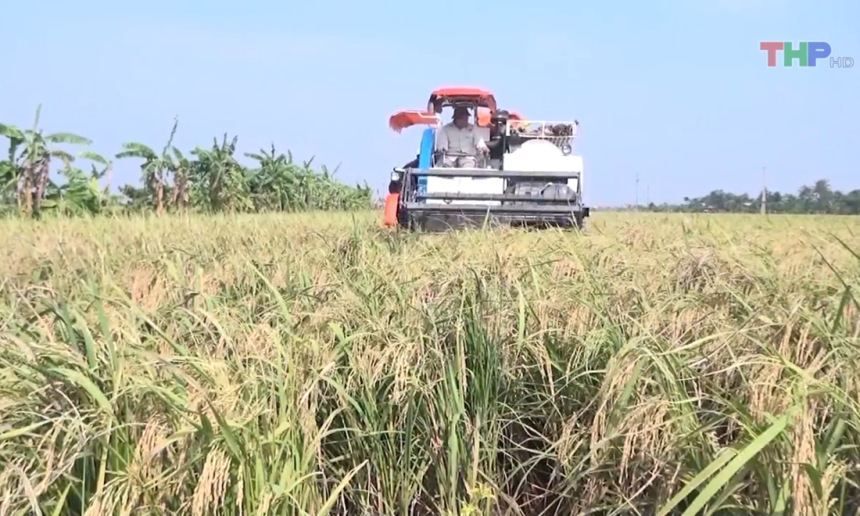 Bản tin Hải Ph&ograve;ng h&ocirc;m nay trưa (01/03/2024)