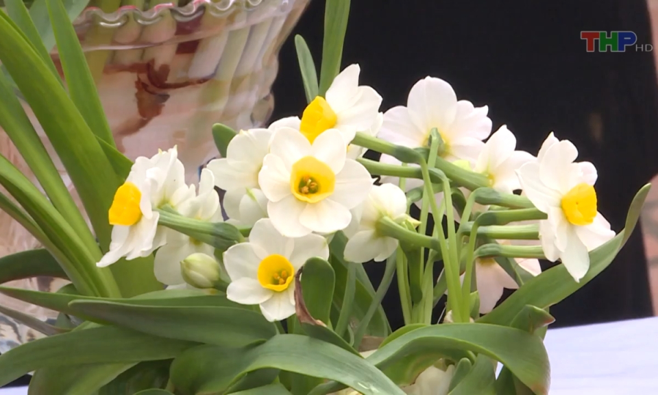 Bản tin Hải Ph&ograve;ng kết nối (01/03/2024)