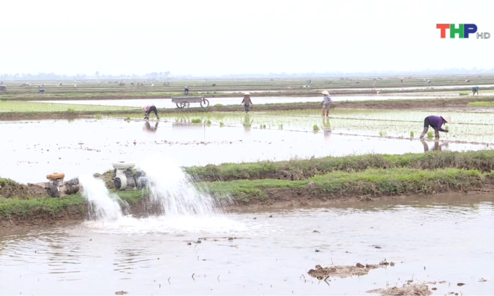 Bản tin Hải Ph&ograve;ng kết nối (03/03/2024)