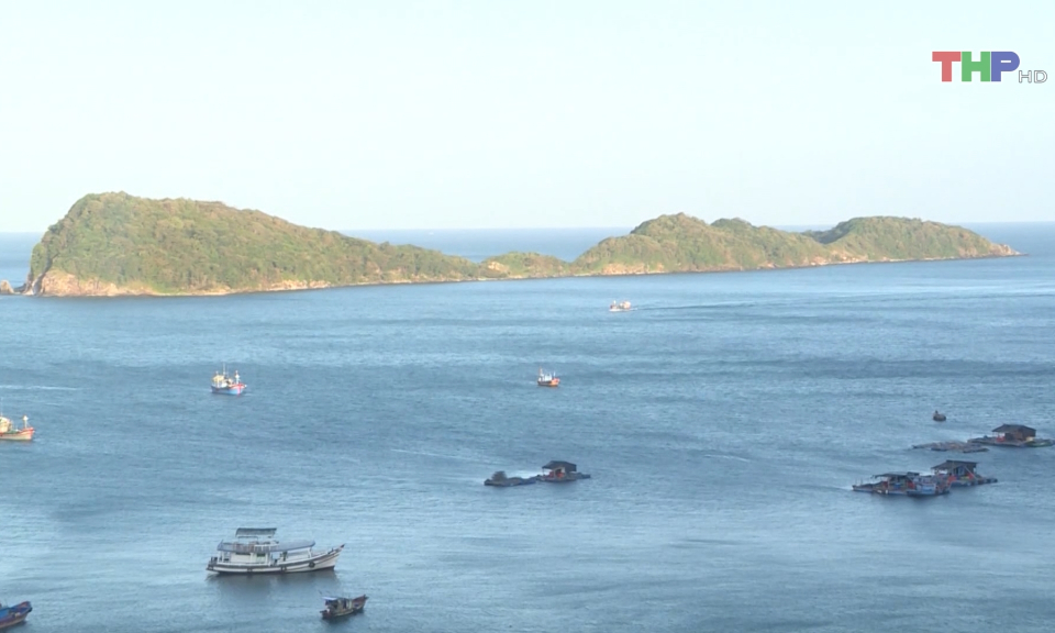 X&acirc;y dựng Hải Ph&ograve;ng trở th&agrave;nh trung t&acirc;m nghề c&aacute; khu vực ph&iacute;a Bắc