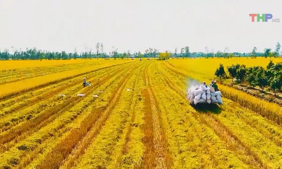 Bản tin Hải Ph&ograve;ng h&ocirc;m nay trưa (06/03/2024)