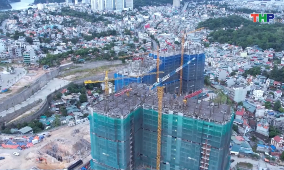 Bản tin Hải Ph&ograve;ng kết nối (07/03/2024)