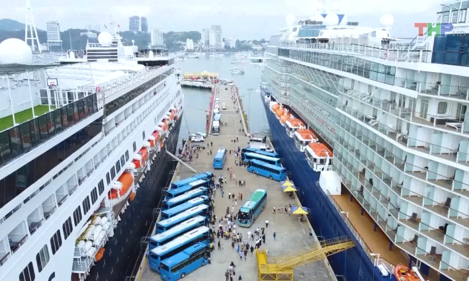 Bản tin Hải Ph&ograve;ng kết nối (08/03/2024)