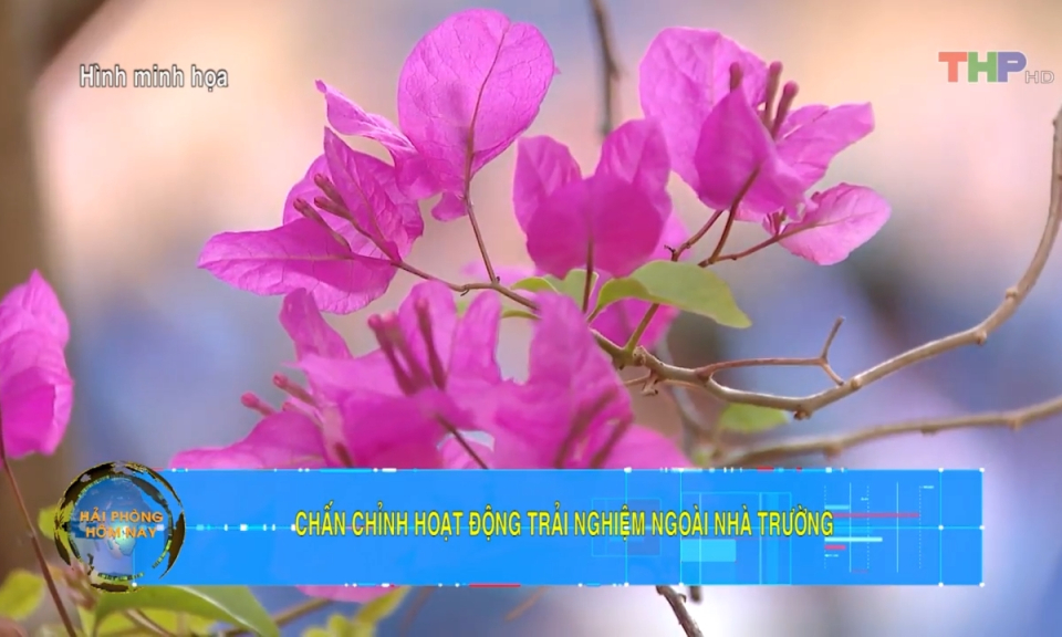 Bản tin Hải Ph&ograve;ng h&ocirc;m nay trưa (12/03/2024)