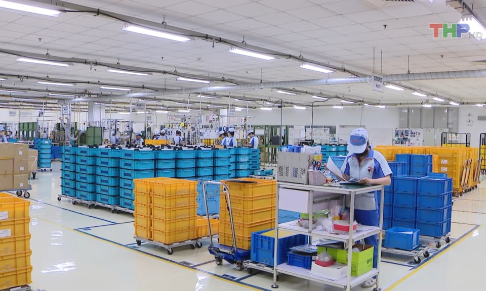 Bản tin thời sự tối (12/03/2024)