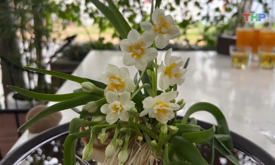 Bản tin thời sự tối (14/03/2024)